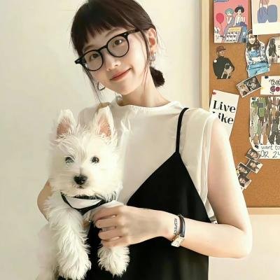 实习警犬物语
